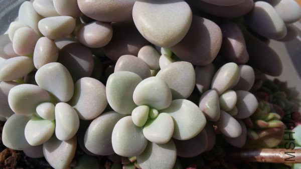 20160202_100802_600x338.jpg