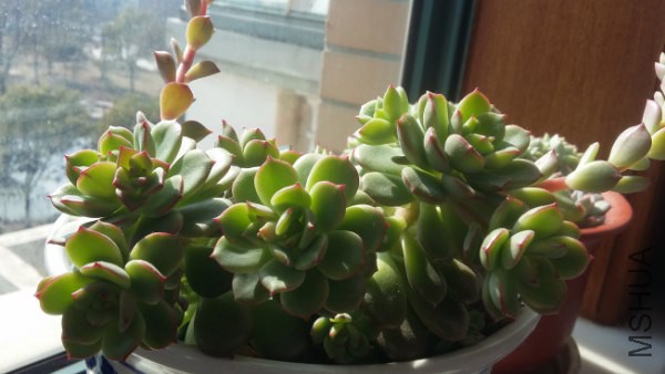 20160202_114715_600x338.jpg