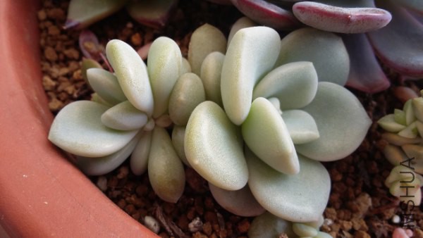 20160202_101616_600x338.jpg
