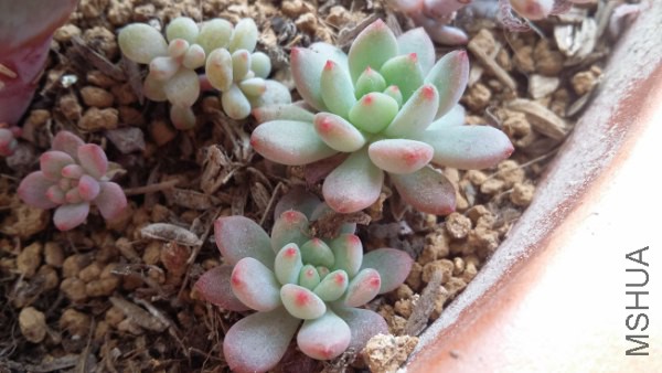 20160202_101512_600x338.jpg