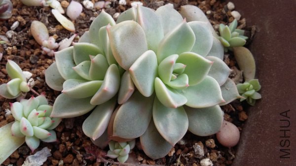 20160202_101715_600x338.jpg