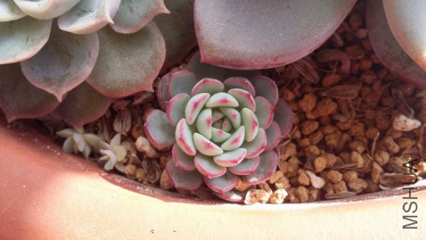 20160202_101116_600x338.jpg