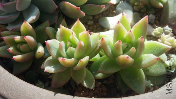 20160202_114551_600x338.jpg