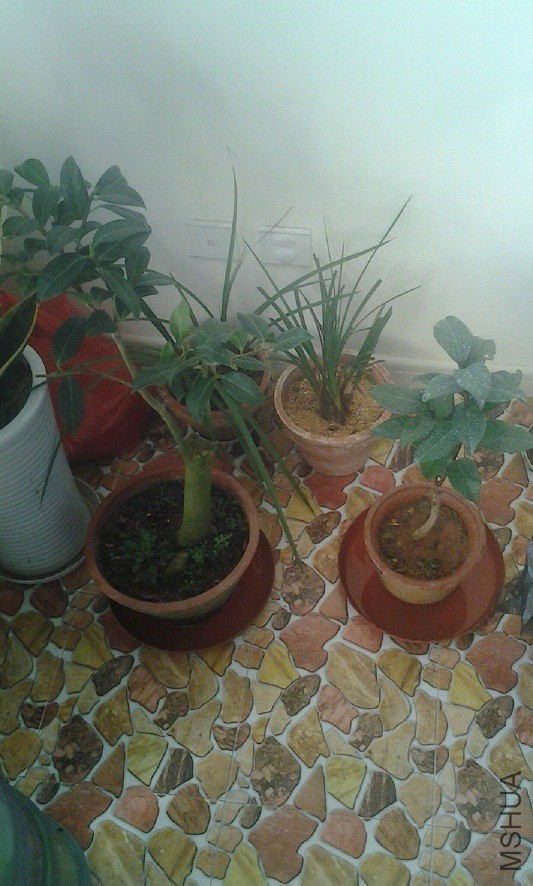 QQͼƬ20160202153106.jpg