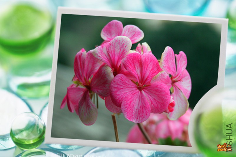 ��Ƭ 034_����.jpg