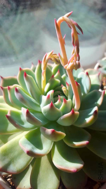 20160202_104851.jpg