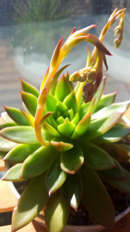 20160202_105004.jpg