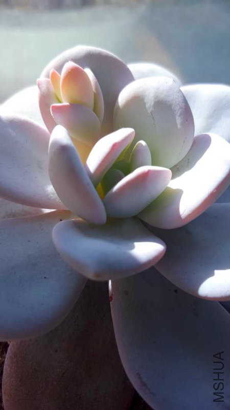 20160202_105128.jpg