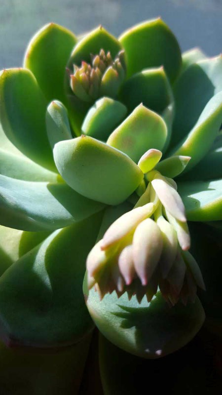20160202_105144.jpg