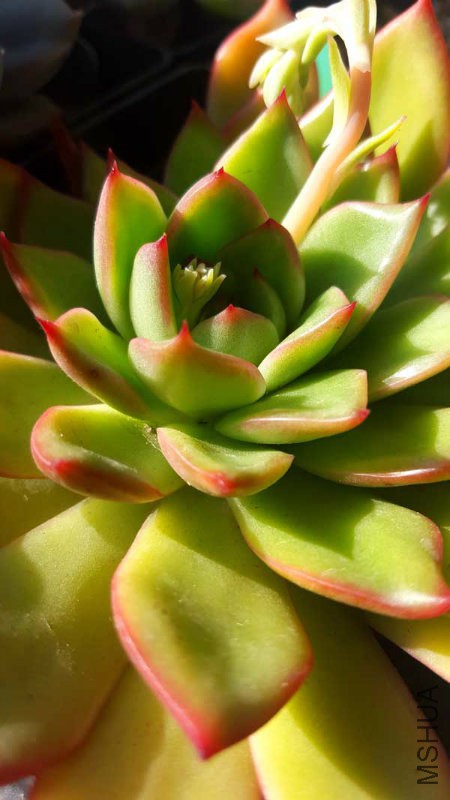 20160202_105346.jpg