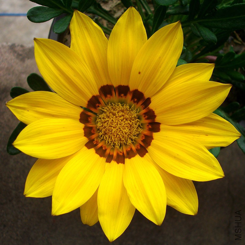ALIM2933_����.jpg
