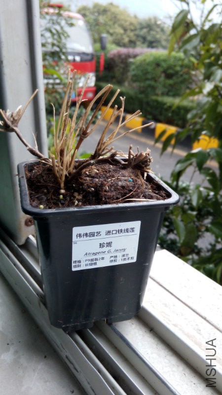 20160131102305.jpg