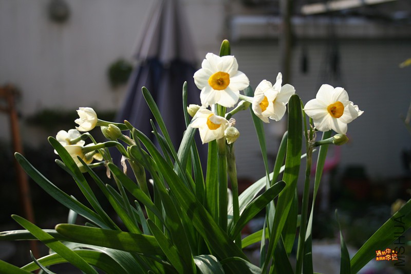 ��Ƭ 001_����.jpg