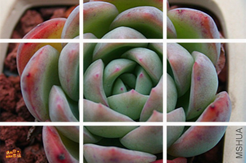 ��Ƭ 013_����.jpg