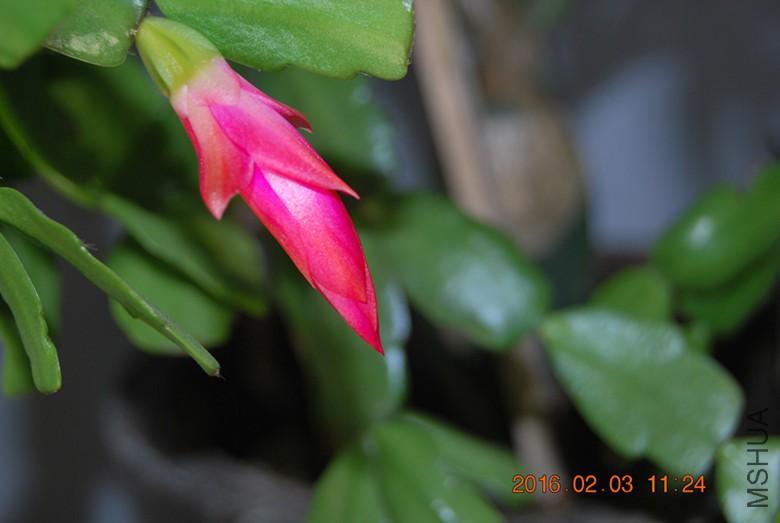 ��1.jpg