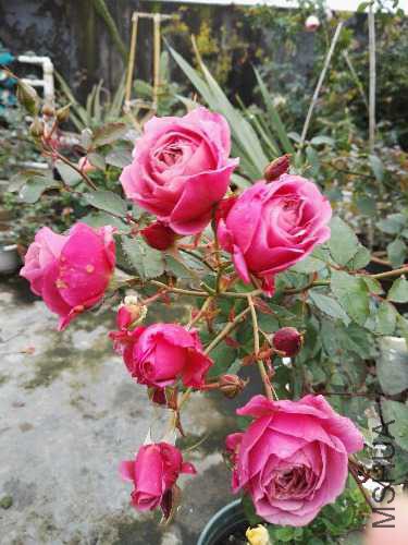 IMG_20160202_104424.jpg