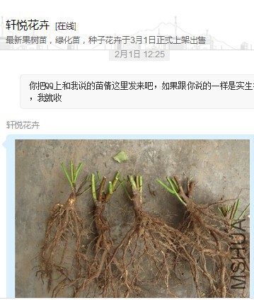 QQ��ͼ20160204151957.jpg