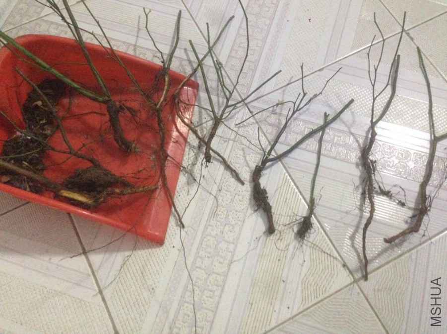 QQͼƬ20160204150426.jpg