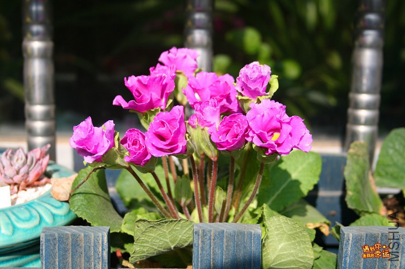 ��Ƭ 011_����.jpg