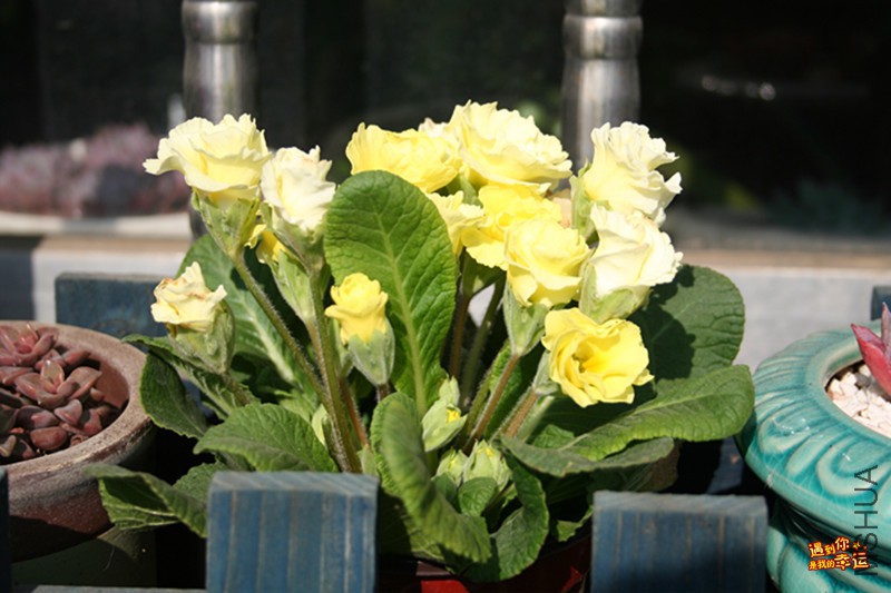 ��Ƭ 013_����.jpg