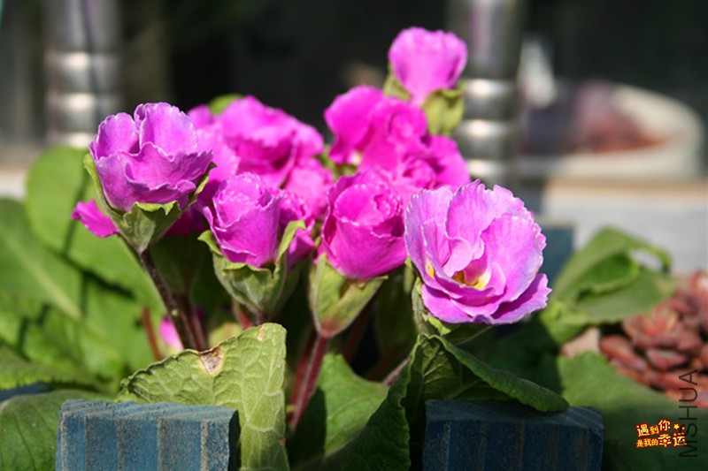 ��Ƭ 016_����.jpg