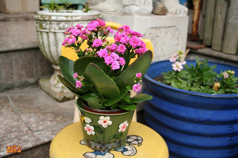 ��Ƭ 032_����.jpg