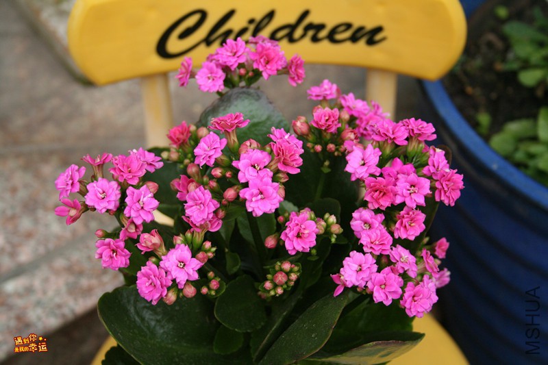 ��Ƭ 035_����.jpg