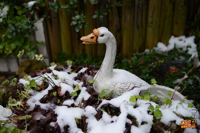 ��Ƭ 095_����.jpg