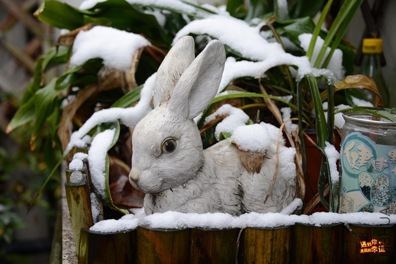 ��Ƭ 093_����.jpg