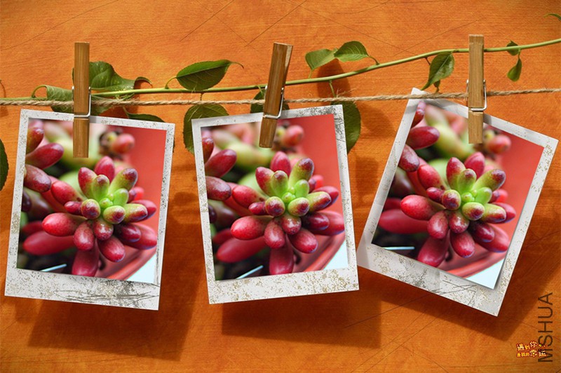 ��Ƭ 022_����.jpg