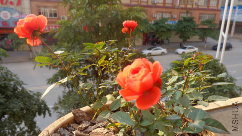 DSC00902_1024x576.JPG