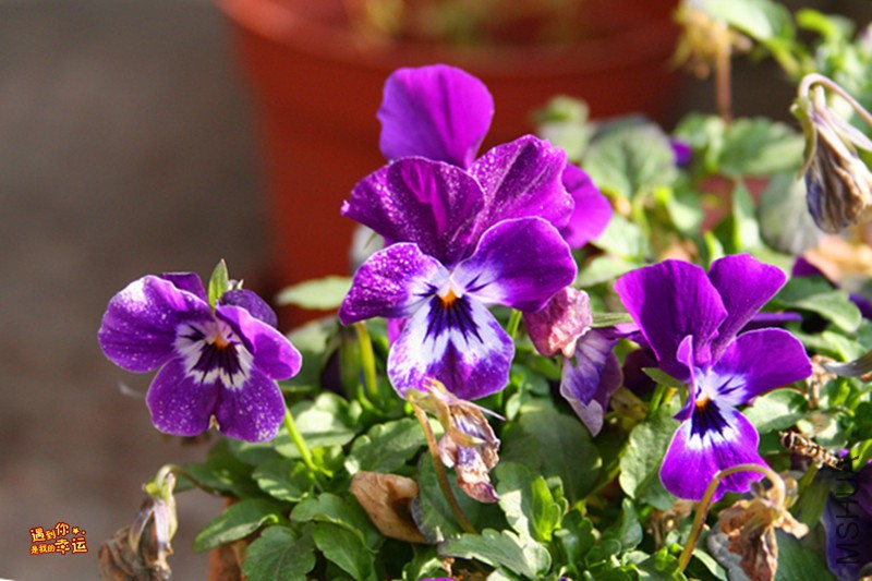 ��Ƭ 058_����.jpg