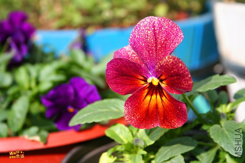 ��Ƭ 060_����.jpg