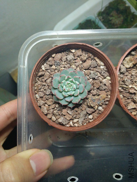 IMG20150201211652.jpg