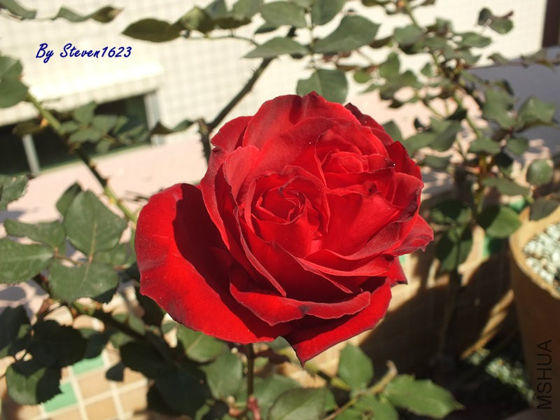 DSCF9369.JPG