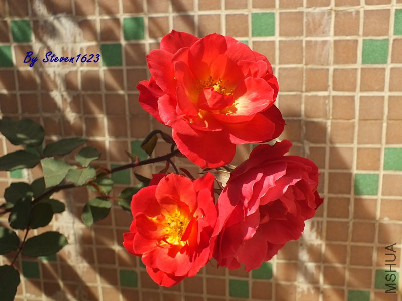 DSCF9371.JPG