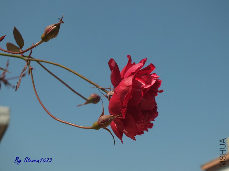 DSCF9375.JPG