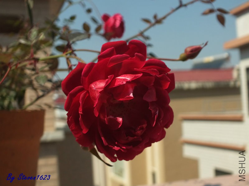 DSCF9376.JPG