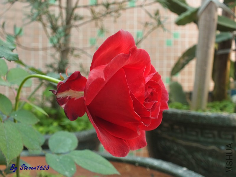 DSCF9378.JPG