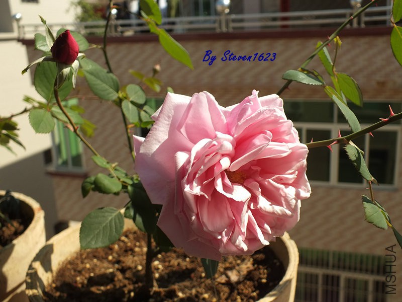 DSCF9343.JPG