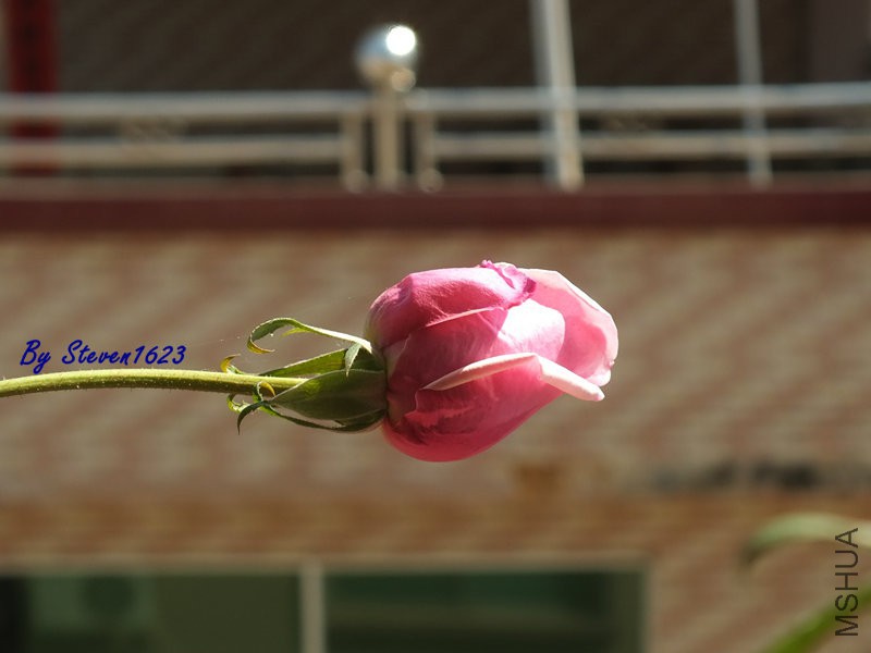 DSCF9344.JPG