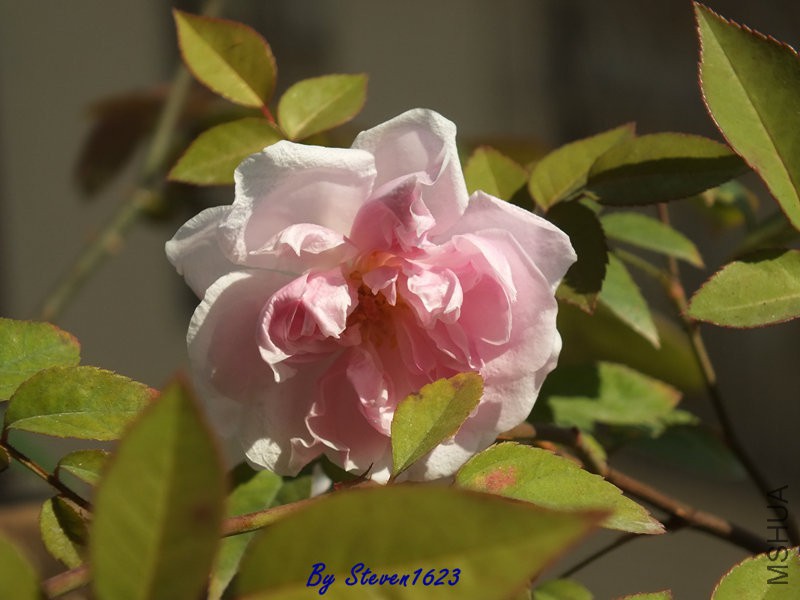 DSCF9361.JPG