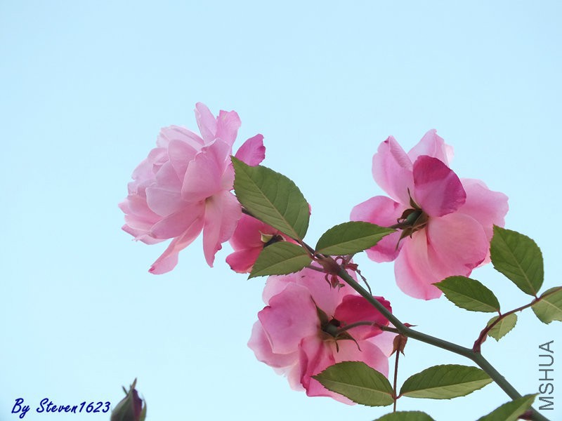 DSCF9363.JPG