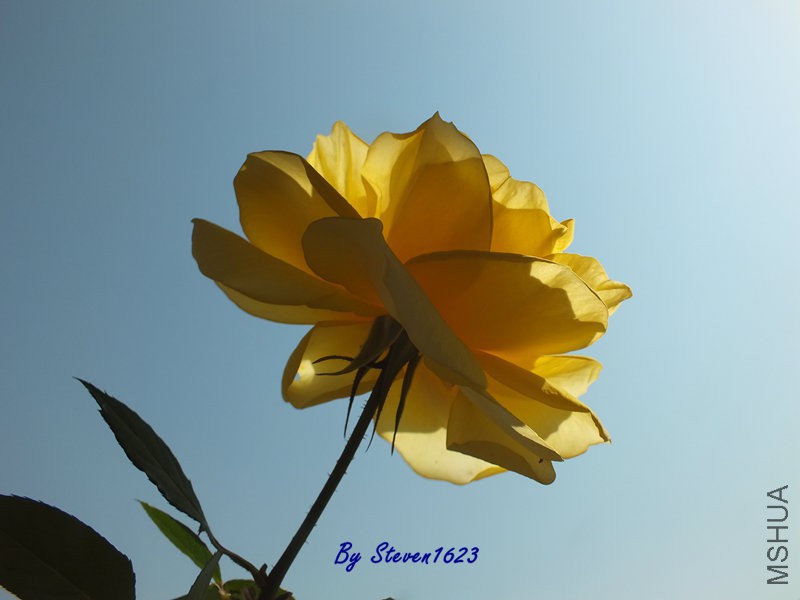 DSCF9351.JPG