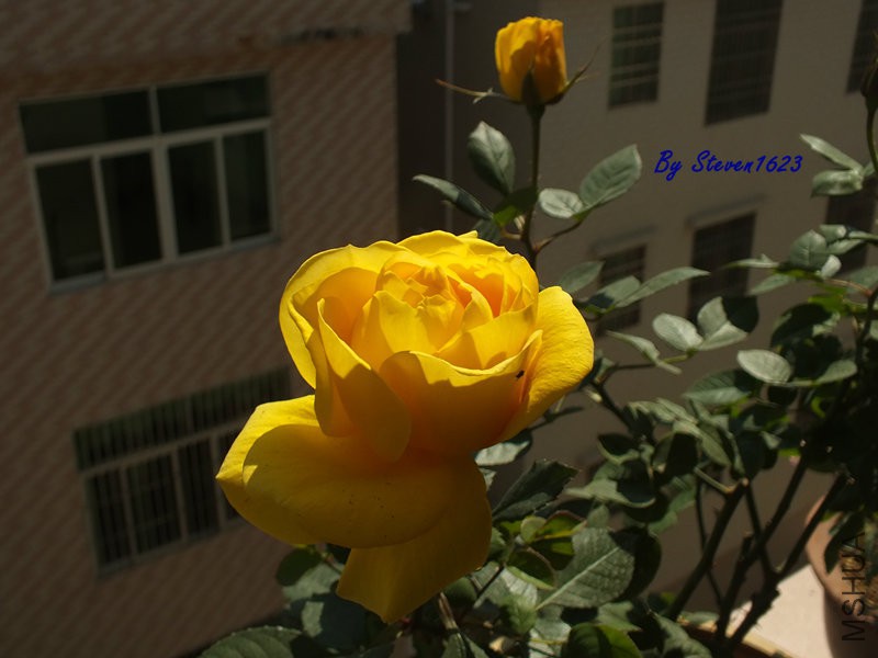DSCF9355.JPG