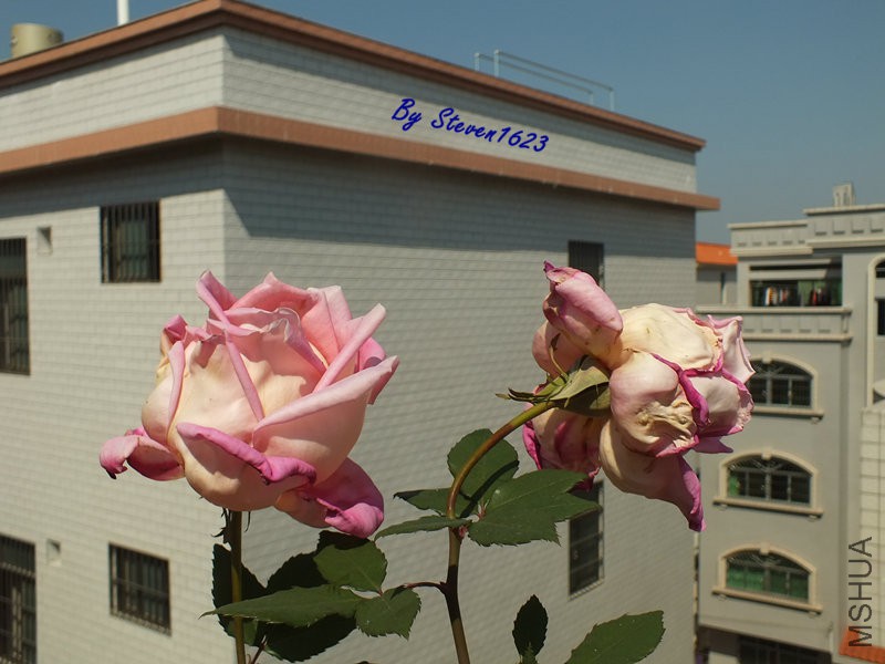 DSCF9373.JPG