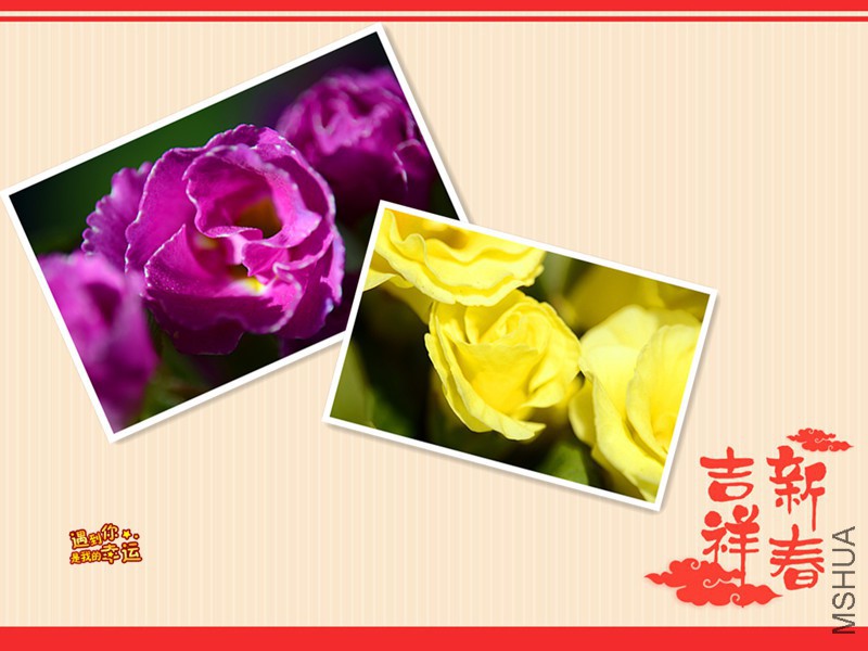 ��Ƭ 014����.jpg