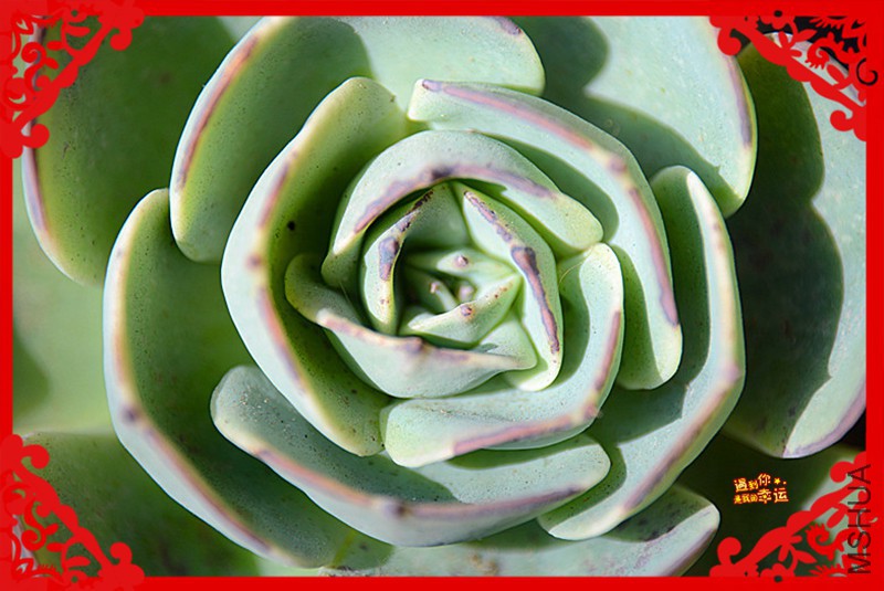 ��Ƭ 009_����.jpg