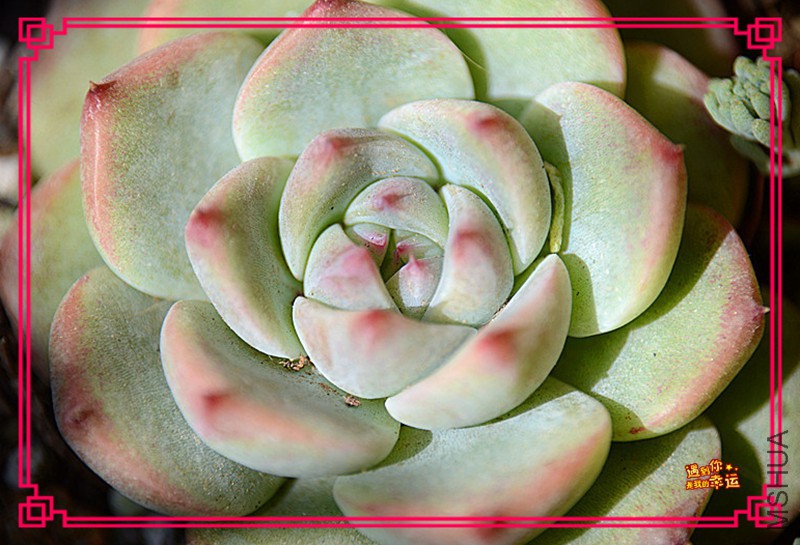 ��Ƭ 010_����.jpg