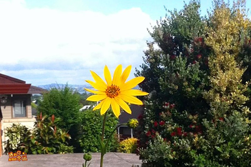 psb (2)_����.jpg